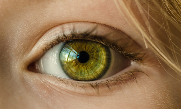 GVIS (Group for Vision and Intelligent Systems)