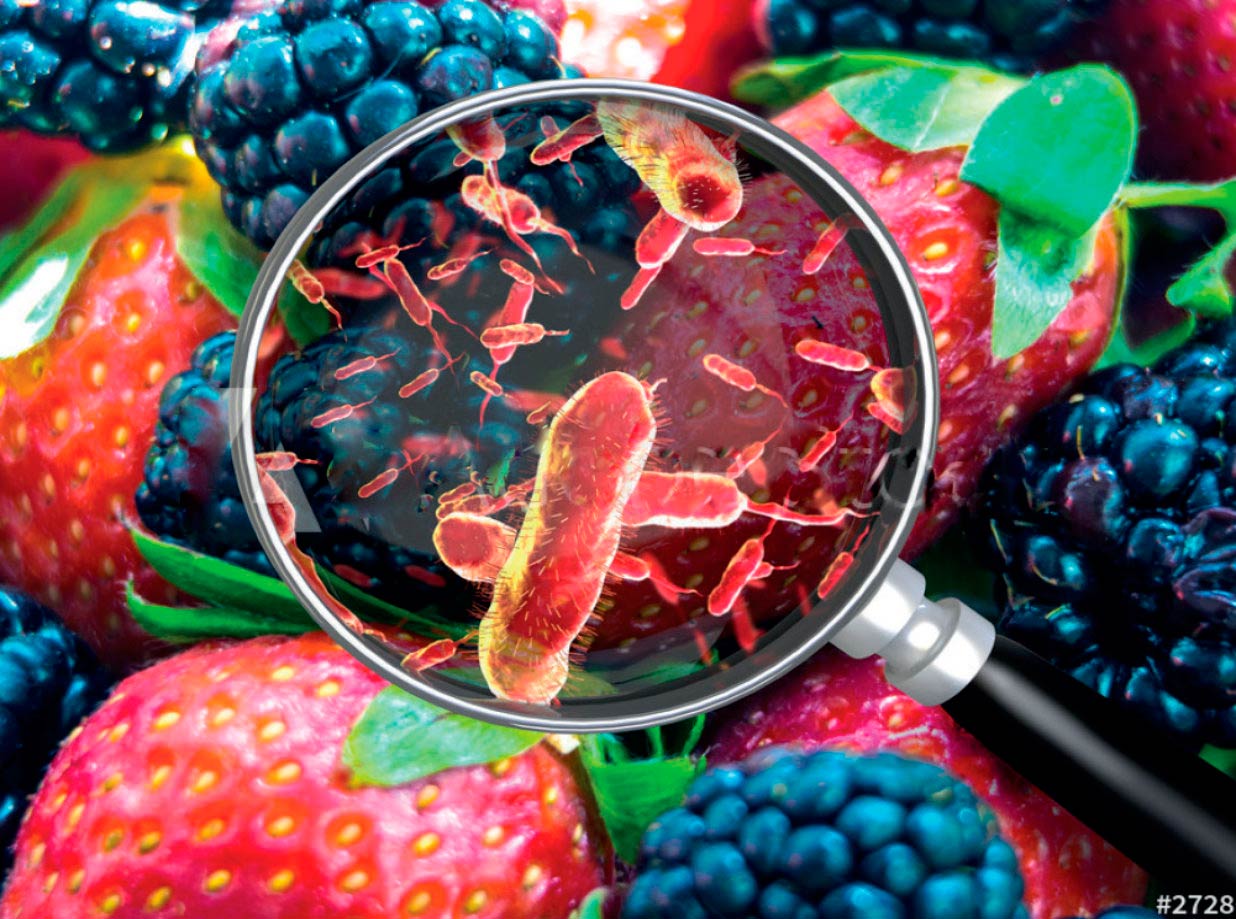 S.A.M.A. Seguridad Alimentaria y Microbiología de los Alimentos